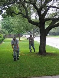 Expert residential landscaping in Forest Park, IL - Davis Tree Care