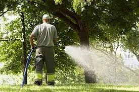 Expert lawn mowing service for beautiful yards across Forest Park, IL - Davis Tree Care