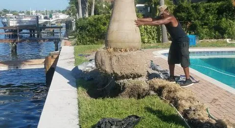 Professional yard cleanup service for residential properties in St Petersburg, FL by Davis Tree Service and Landscaping