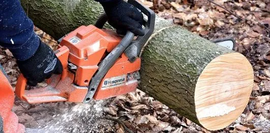 Davis Tree Service and Landscaping Logo