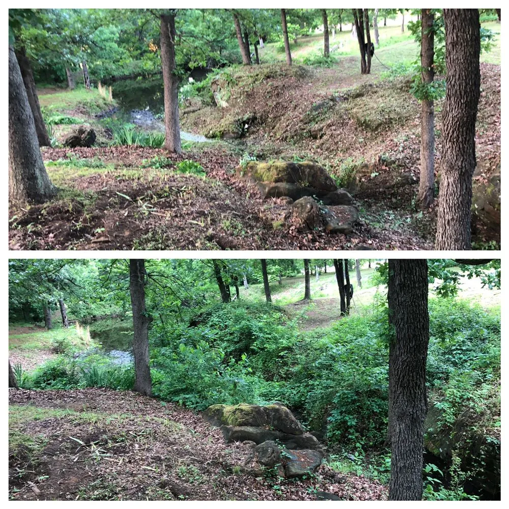 Professional outdoor landscaping for beautiful yards across Cushing, OK - Davis Yard and Brush