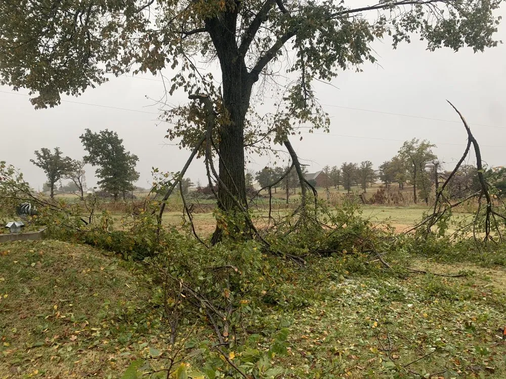 Custom landscape design in Cushing, OK - Davis Yard and Brush