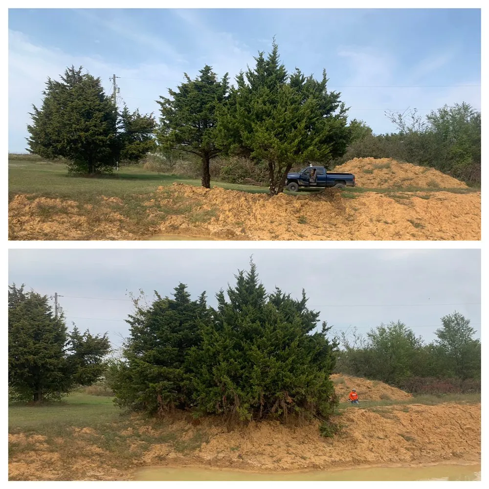 Professional lawn care service for homes in Cushing, OK by Davis Yard and Brush