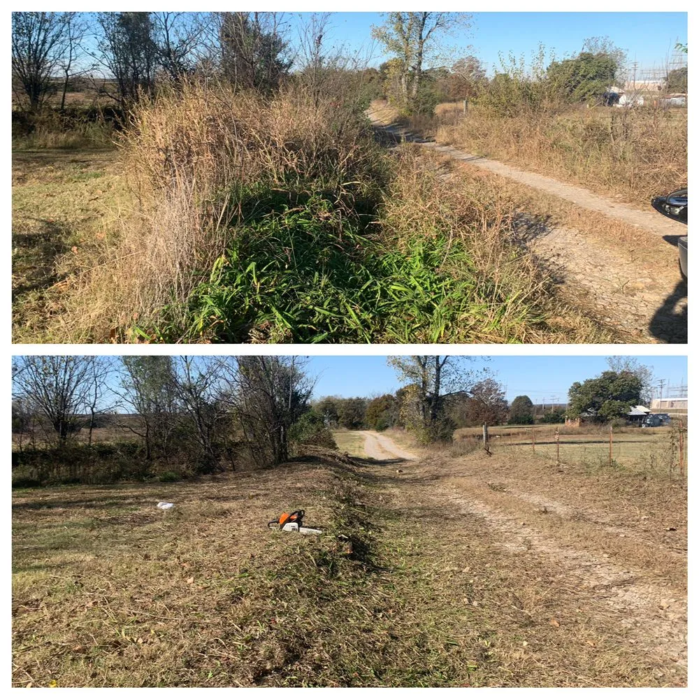 Trusted yard maintenance in Cushing, OK - Davis Yard and Brush