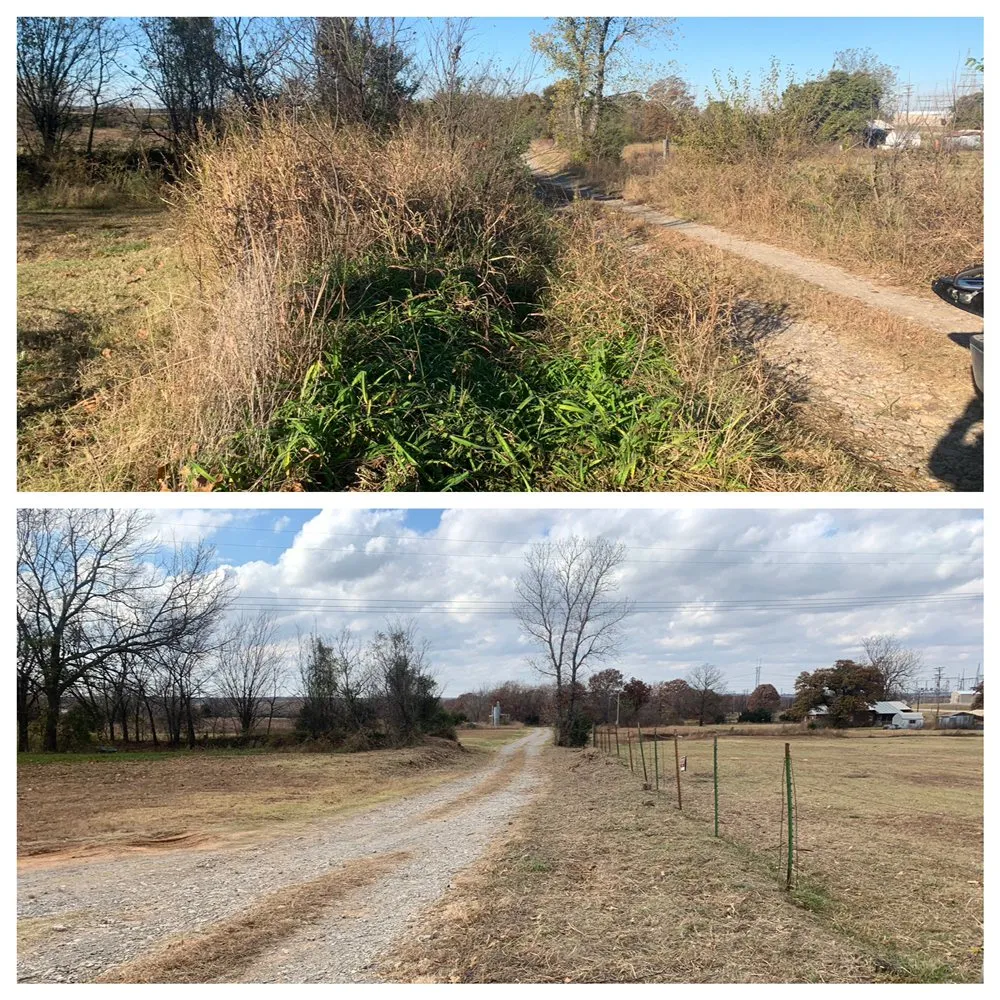 Top-rated landscaping services experts serving Cushing, OK - Davis Yard and Brush