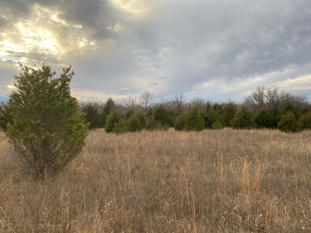 Local garden landscaping in Cushing, OK - Davis Yard and Brush