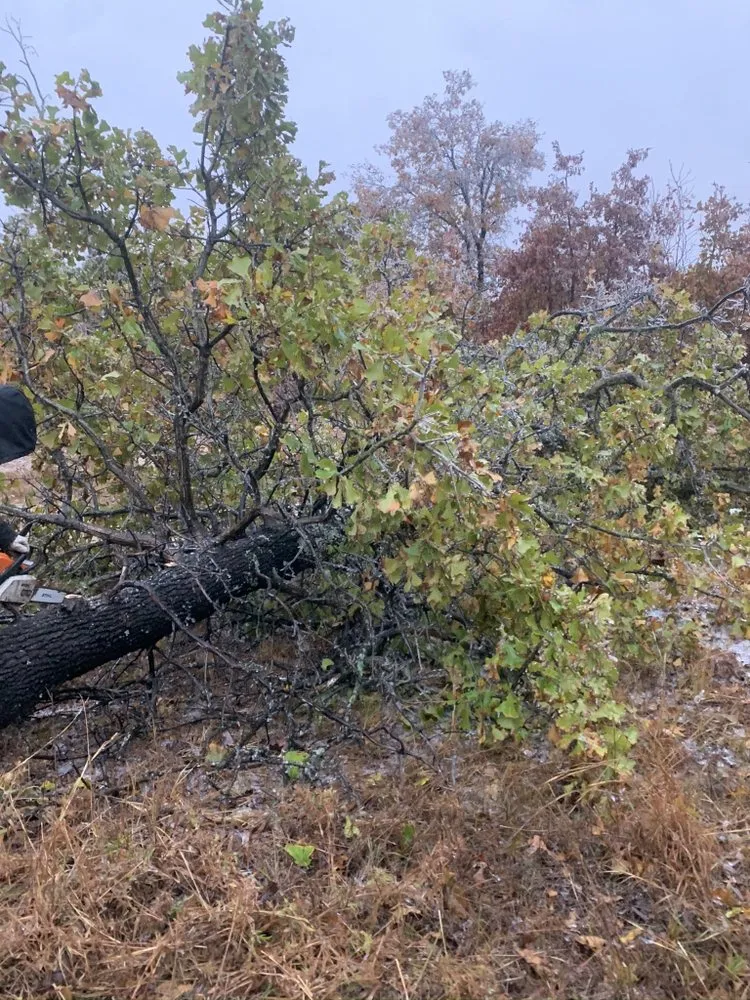 Local lawn mowing service for year-round maintenance in Cushing, OK by Davis Yard and Brush