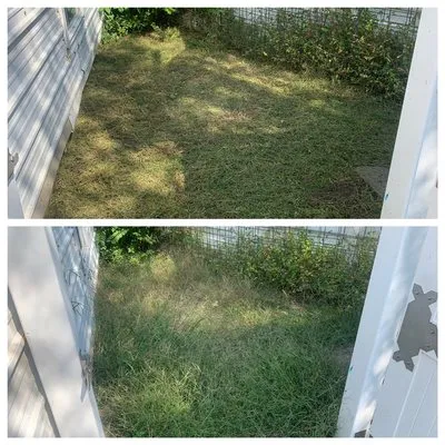 Davis Yard and Brush