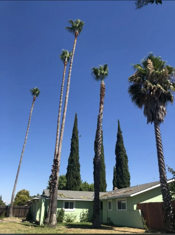 Custom residential landscaping in Stockton, CA - Davis Yard Solutions