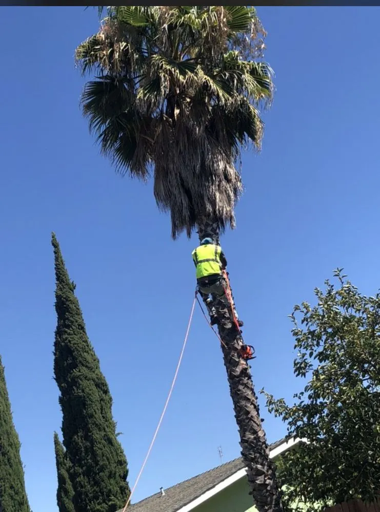 Expert landscape installation in Stockton, CA - Davis Yard Solutions