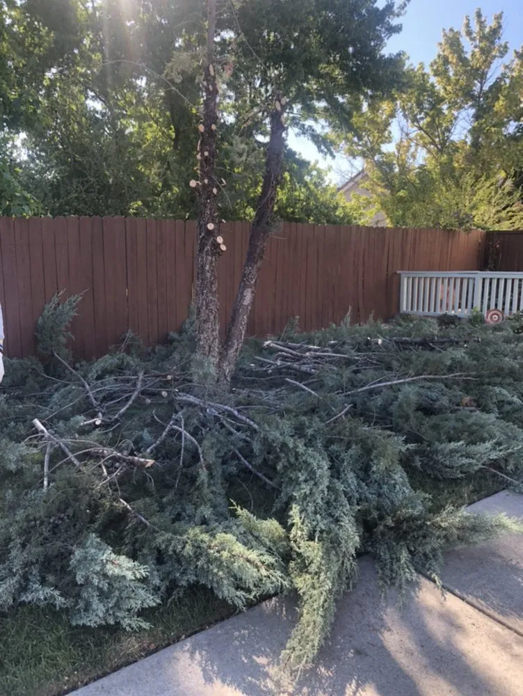 Local residential landscaping for year-round maintenance across Stockton, CA - Davis Yard Solutions