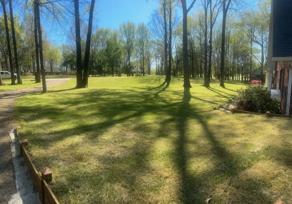 Professional outdoor landscaping near you across Byhalia, MS - Davis Yard Works