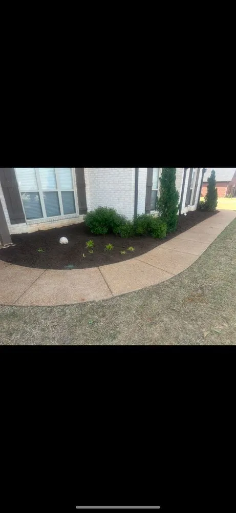 Expert landscape installation in Byhalia, MS - Davis Yard Works
