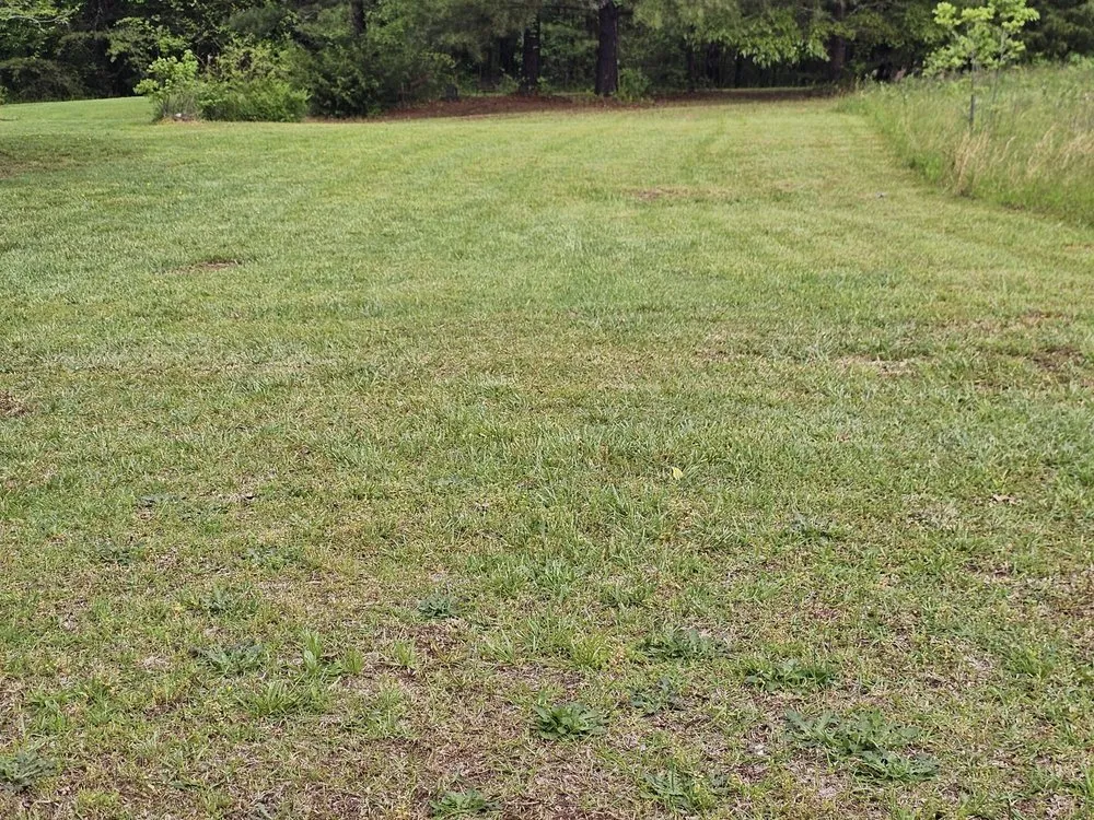 Affordable residential landscaping for residential properties across Liberty, SC - Davis Yard Works