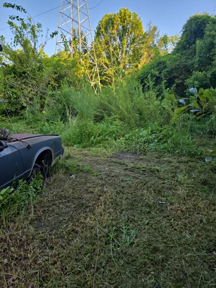 Expert outdoor landscaping with custom design across Lucedale, MS - Davison Landscaping and Construction