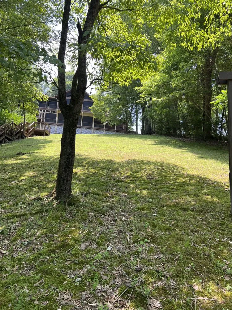 Top-rated yard maintenance in Winchester, TN by Davison Lawn & Landscape