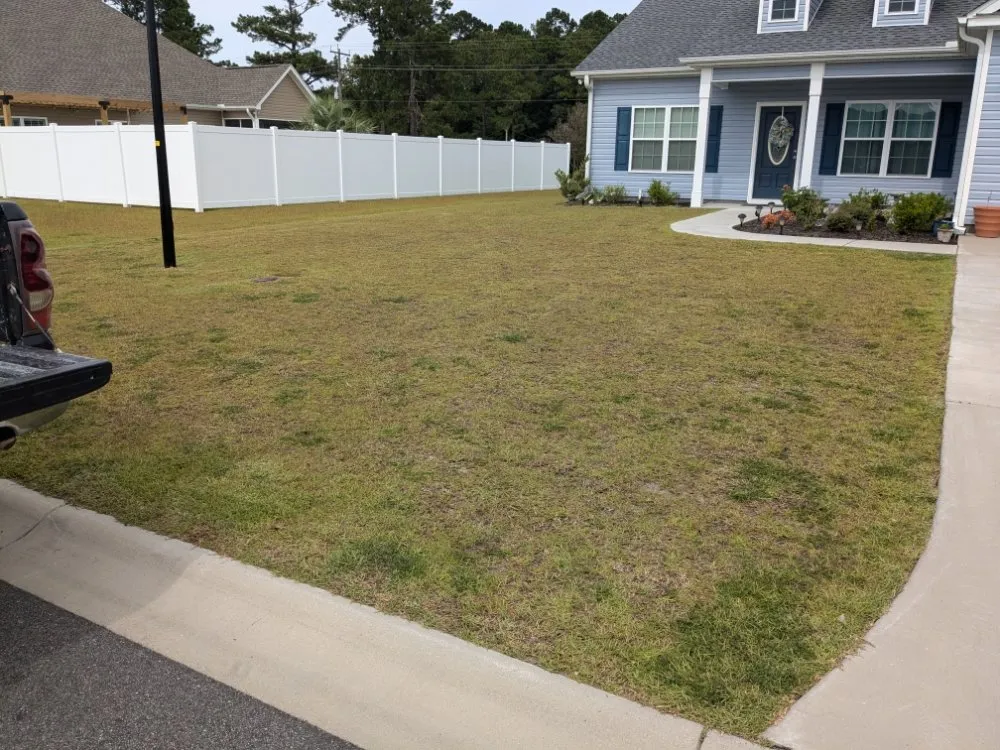Professional landscape design for year-round maintenance across Nichols, SC - Davison Lawn Services