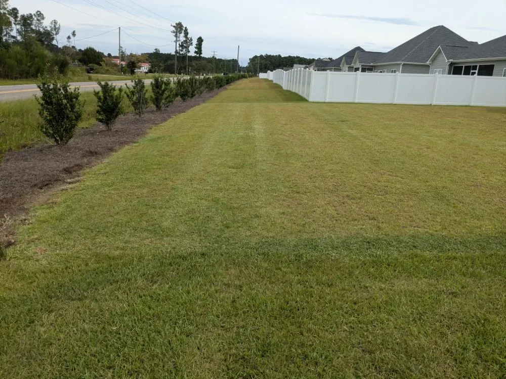 Reliable landscape installation in Nichols, SC by Davison Lawn Services