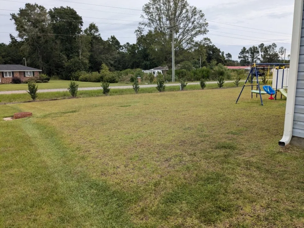 Reliable residential landscaping experts serving Nichols, SC - Davison Lawn Services