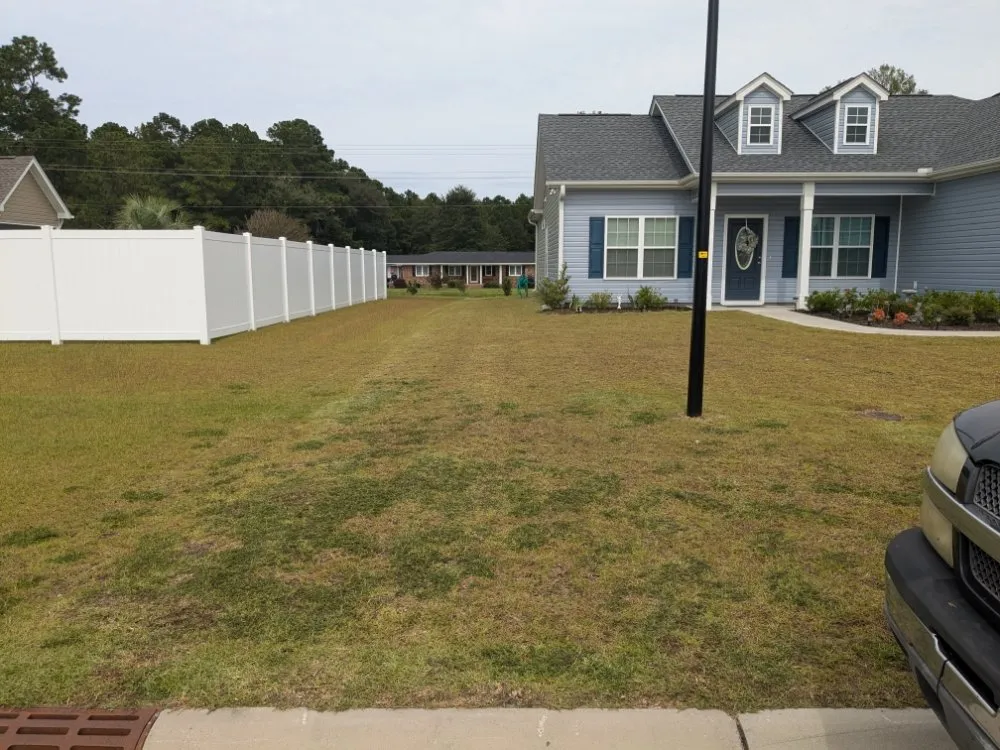 Top-rated residential landscaping in Nichols, SC - Davison Lawn Services