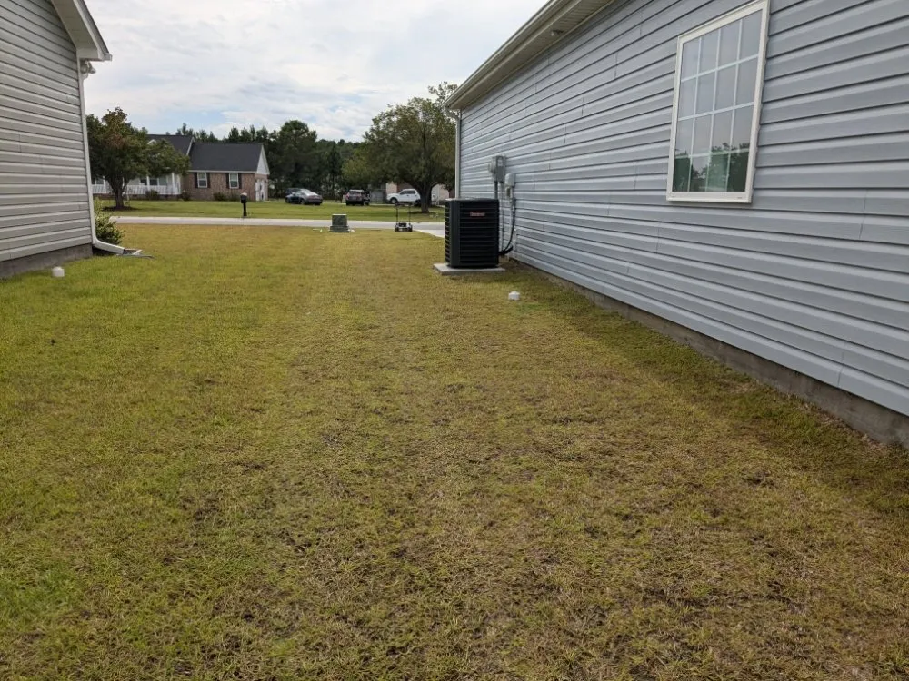 Local landscape design experts serving Nichols, SC - Davison Lawn Services