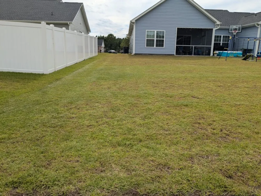 Top-rated lawn care service for homes in Nichols, SC by Davison Lawn Services