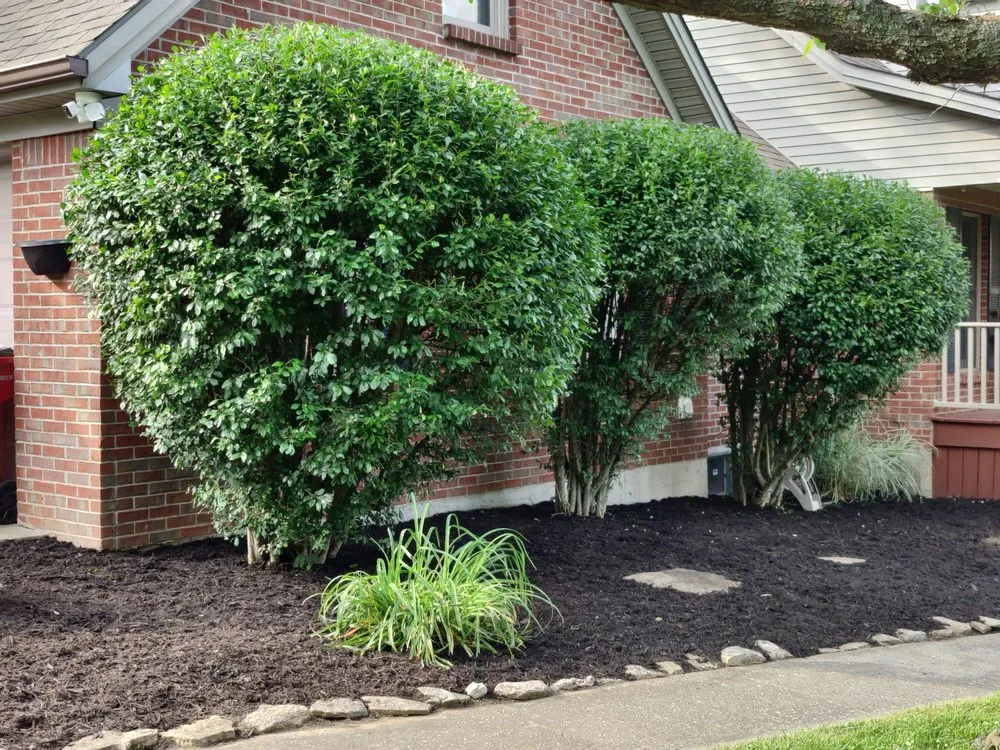 Trusted garden landscaping near you across Frankfort, KY - Davis's Lawncare