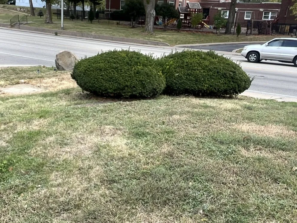 Custom residential landscaping in Peoria, IL by Davon's Lawn & More