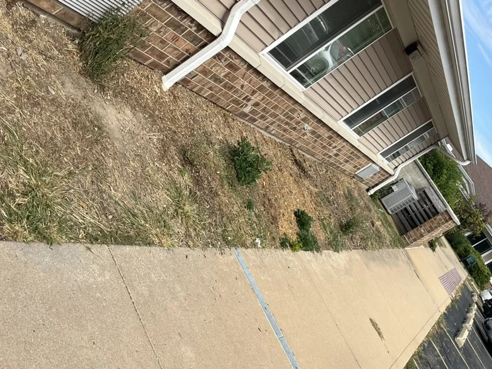 Trusted landscaping services near you in Peoria, IL by Davon's Lawn & More