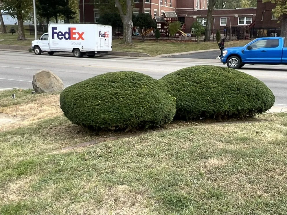 Reliable outdoor landscaping experts serving Peoria, IL - Davon's Lawn & More