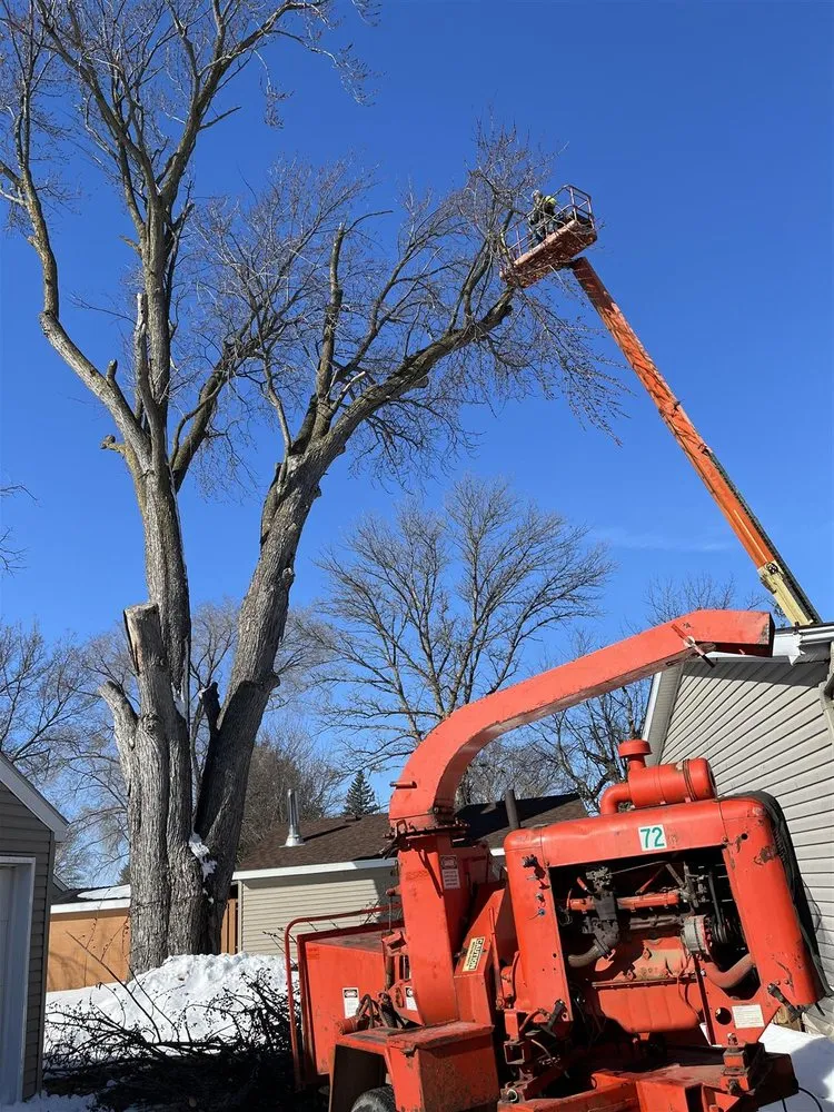 Trusted outdoor landscaping in Madison Lake, MN by Dawgs Dig Cut and Haul