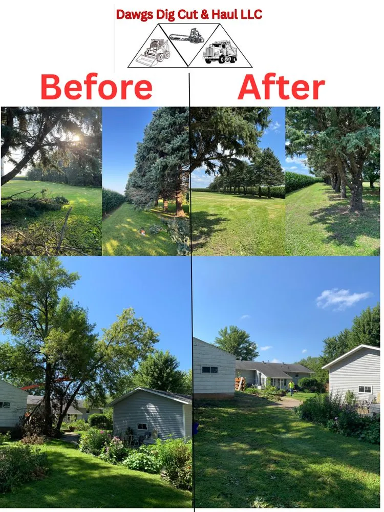 Local yard cleanup service for residential properties in Madison Lake, MN by Dawgs Dig Cut and Haul