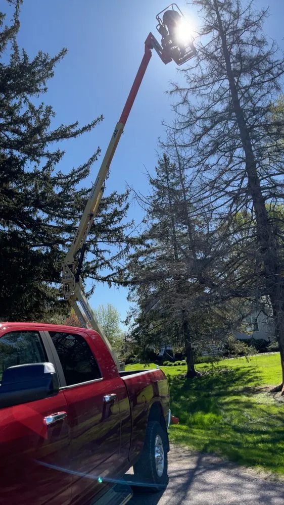 Top-rated landscape design in Madison Lake, MN - Dawgs Dig Cut and Haul