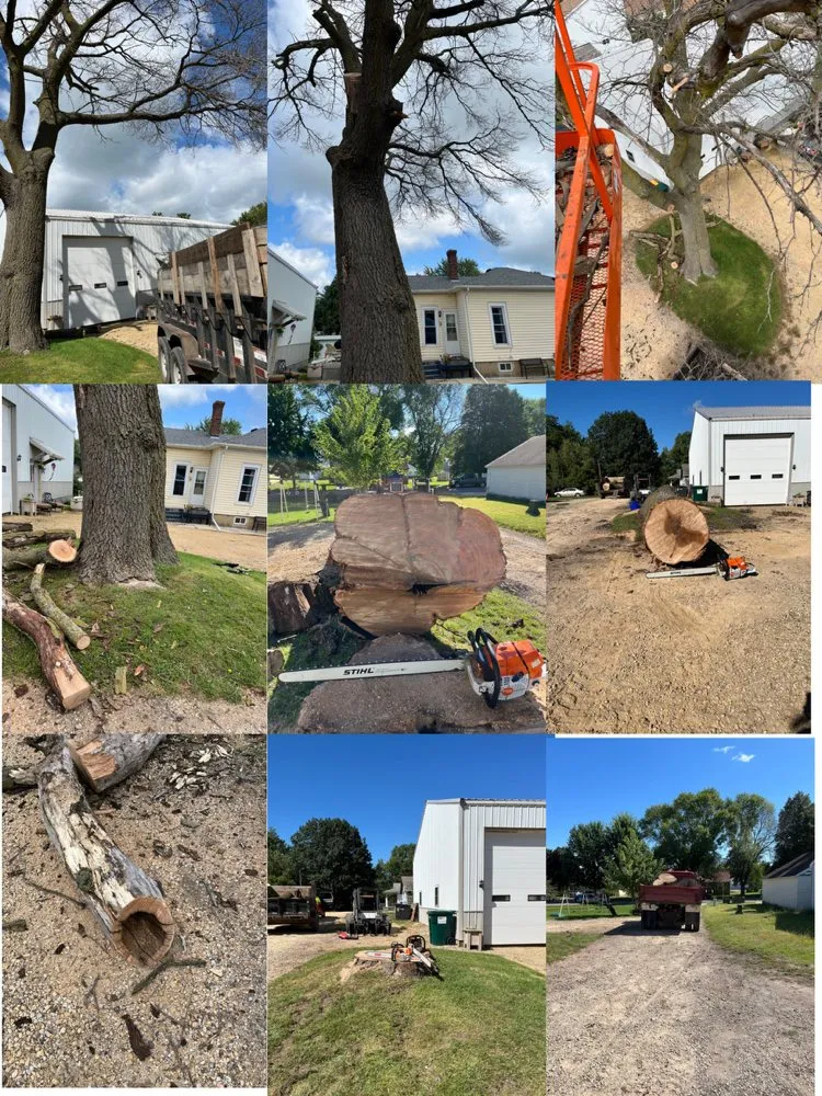 Affordable yard cleanup service for homes across Madison Lake, MN - Dawgs Dig Cut and Haul