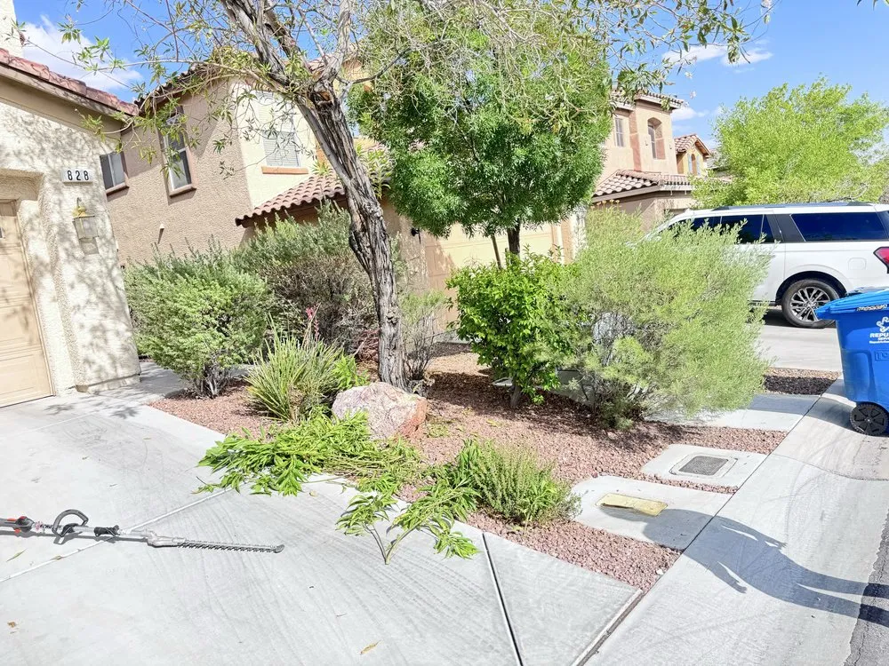 Reliable landscape installation near you in Las Vegas, NV by Dawn Garden and Tree Services