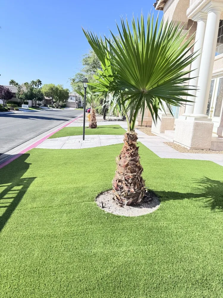 Top-rated yard cleanup service in Las Vegas, NV by Dawn Garden and Tree Services