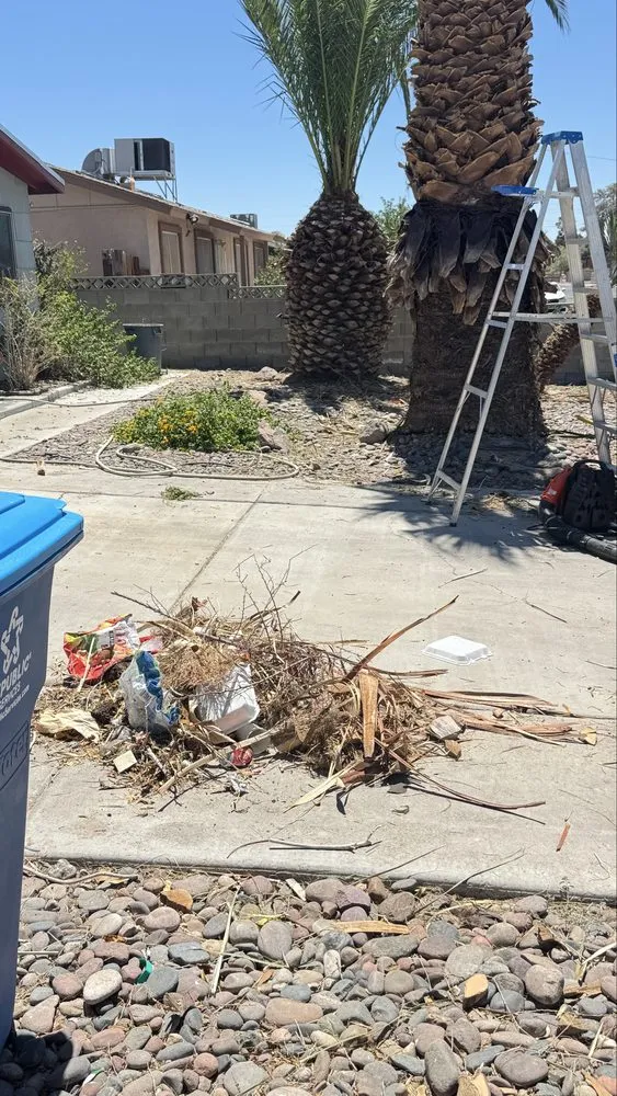 Professional yard cleanup service experts serving Las Vegas, NV - Dawn Garden and Tree Services