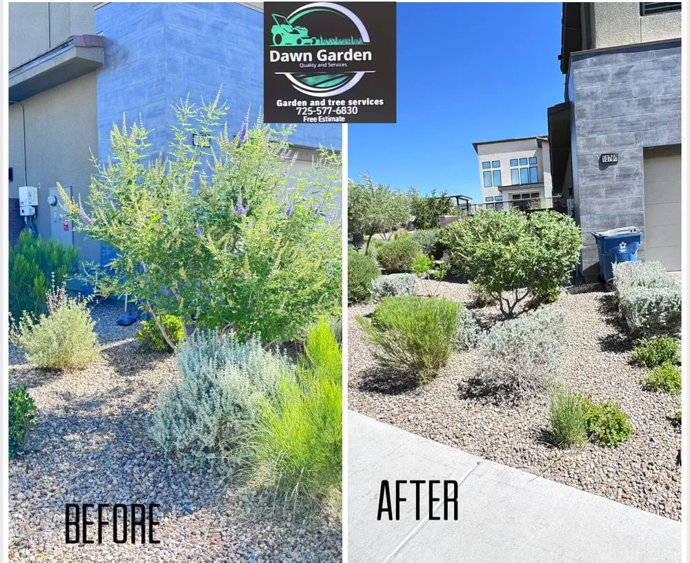 Reliable lawn mowing service in Las Vegas, NV by Dawn Garden and Tree Services