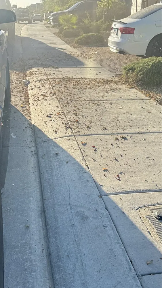 Trusted garden landscaping experts serving Las Vegas, NV - Dawn Garden and Tree Services