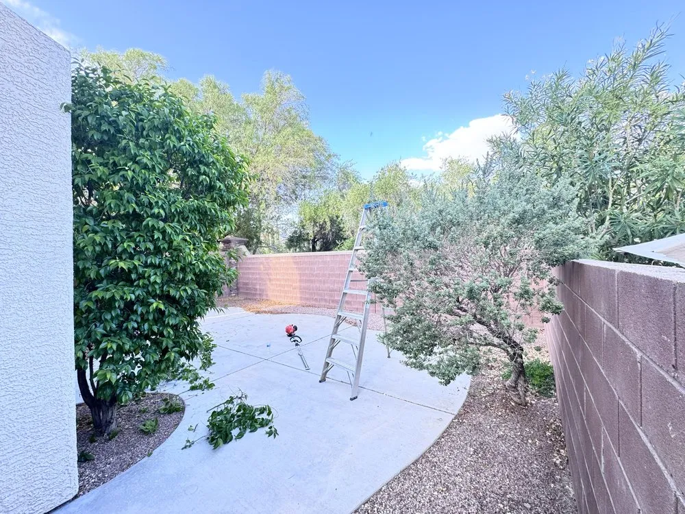 Custom landscape installation in Las Vegas, NV - Dawn Garden and Tree Services