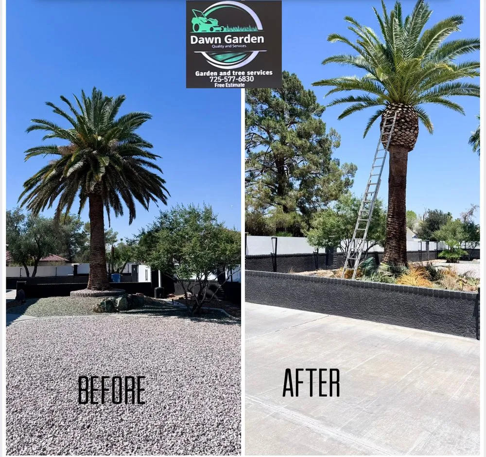 Affordable residential landscaping near you across Las Vegas, NV - Dawn Garden and Tree Services