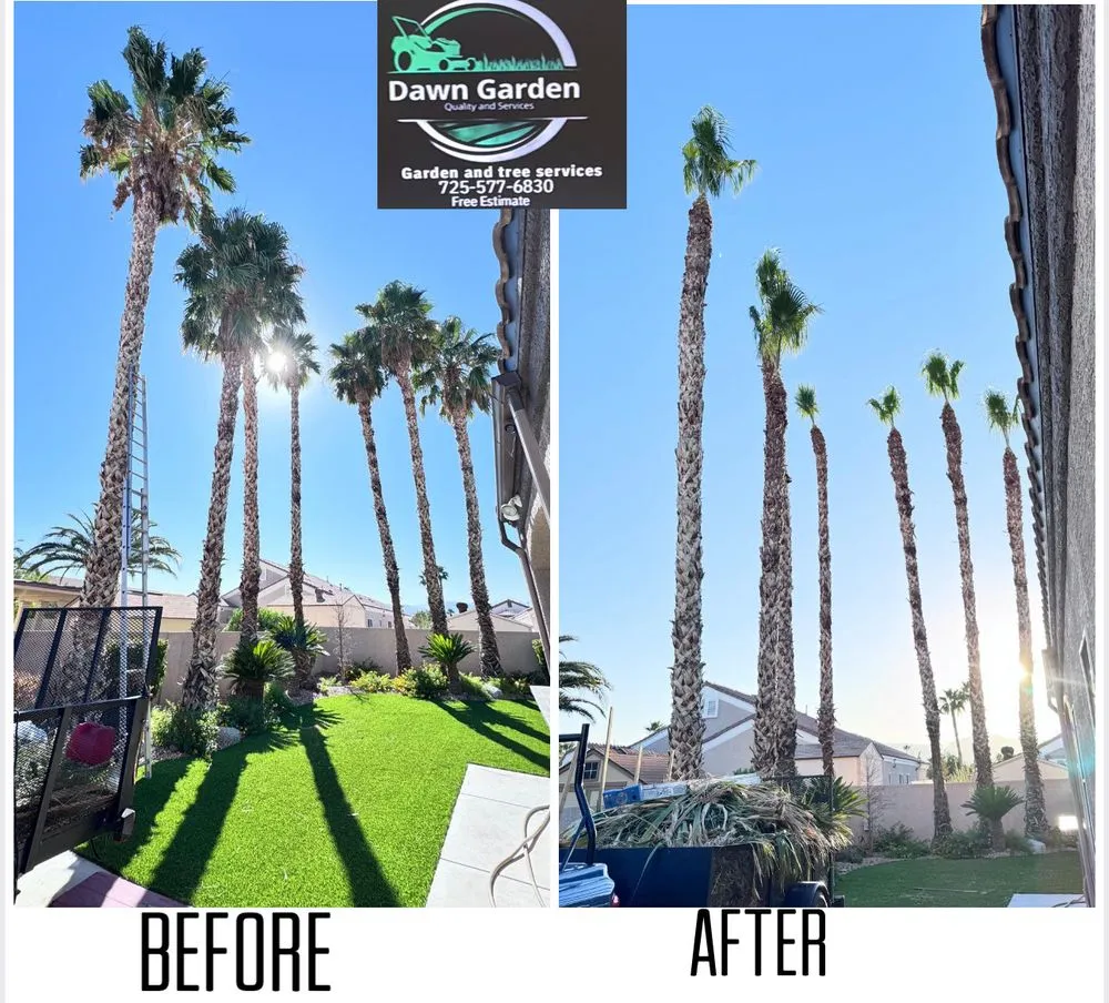 Trusted landscaping services with custom design in Las Vegas, NV by Dawn Garden and Tree Services
