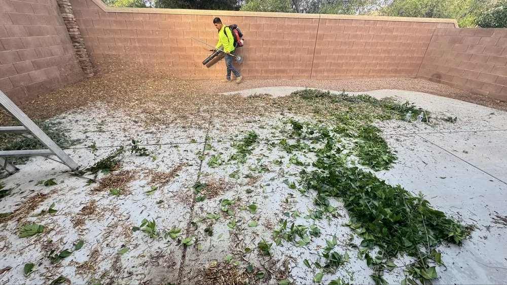 Top-rated outdoor landscaping for beautiful yards across Las Vegas, NV - Dawn Garden and Tree Services