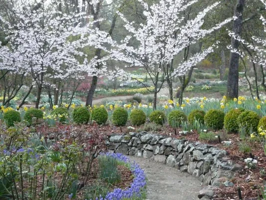 Dawn Landscaping Inc