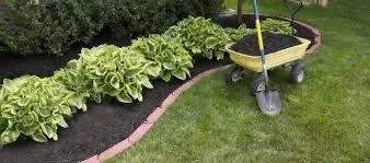 Top-rated yard cleanup service in Birmingham, AL - Dawn Lawn Care