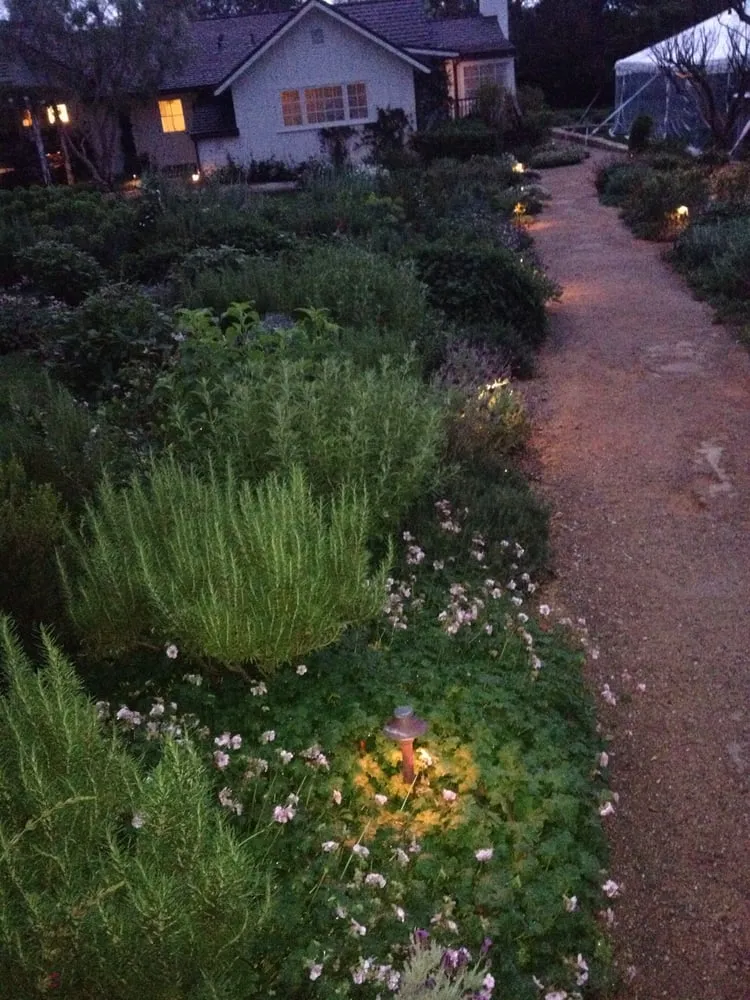 Trusted lawn mowing service experts serving Santa Ynez, CA - Dawn Marie Designs