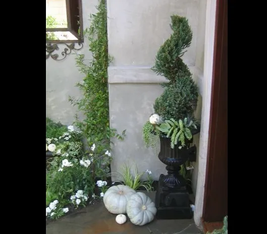 Expert yard maintenance with custom design across Santa Ynez, CA - Dawn Marie Designs