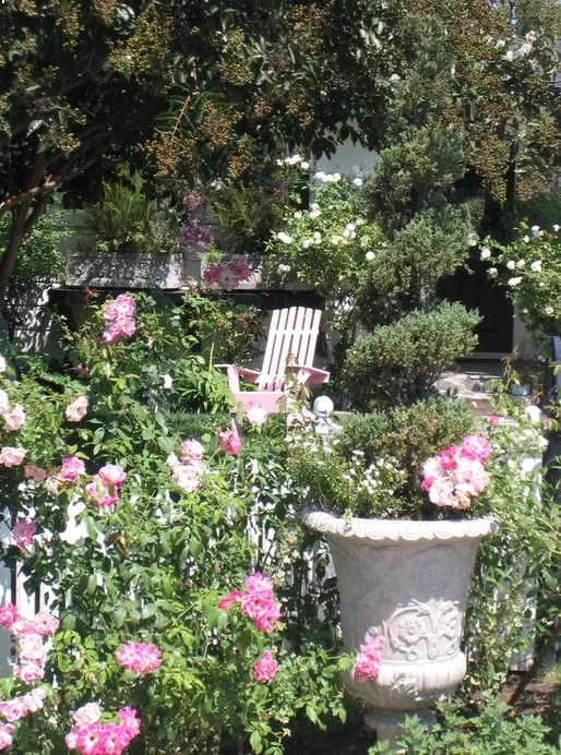 Trusted garden landscaping in Santa Ynez, CA by Dawn Marie Designs