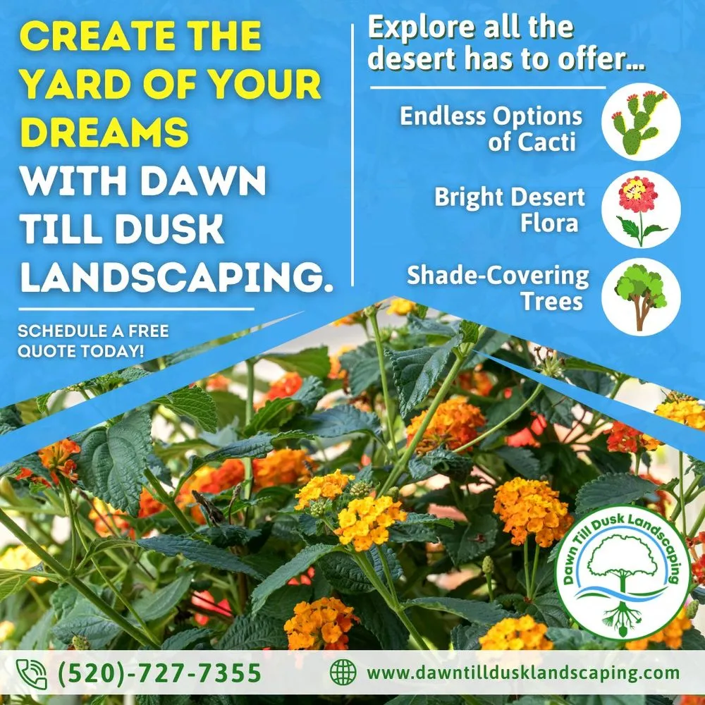Reliable yard maintenance experts serving Tucson, AZ - Dawn Till Dusk Landscaping