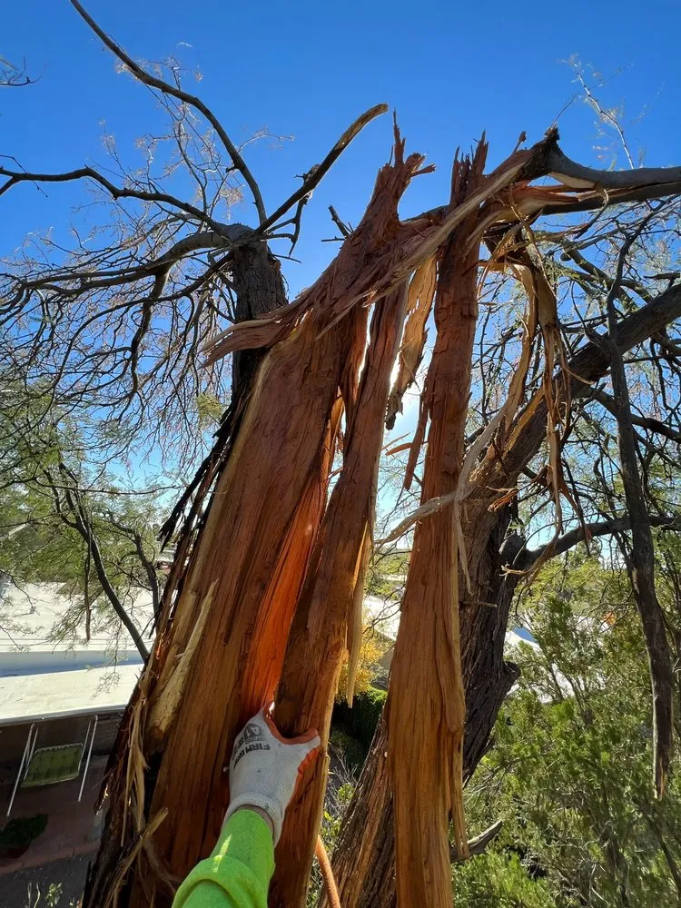 Custom residential landscaping in Tucson, AZ - Dawn Till Dusk Landscaping